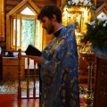 DSC00309 683x1024